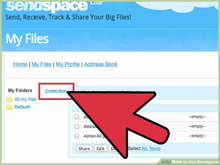 Image intitulée Utilisation Sendspace Étape 9